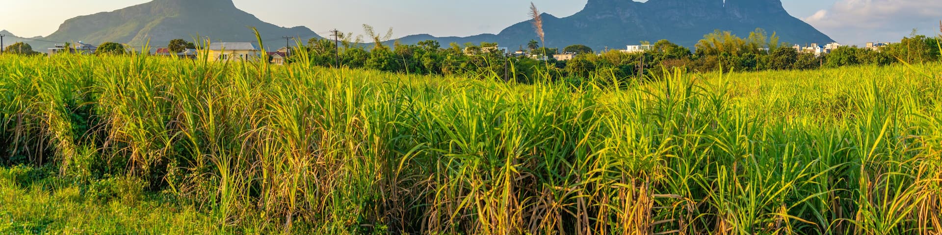 View of farmland and mountains near Quatre Bornes, Mauritius