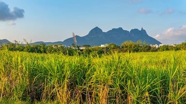 View of farmland and mountains near Quatre Bornes, Mauritius