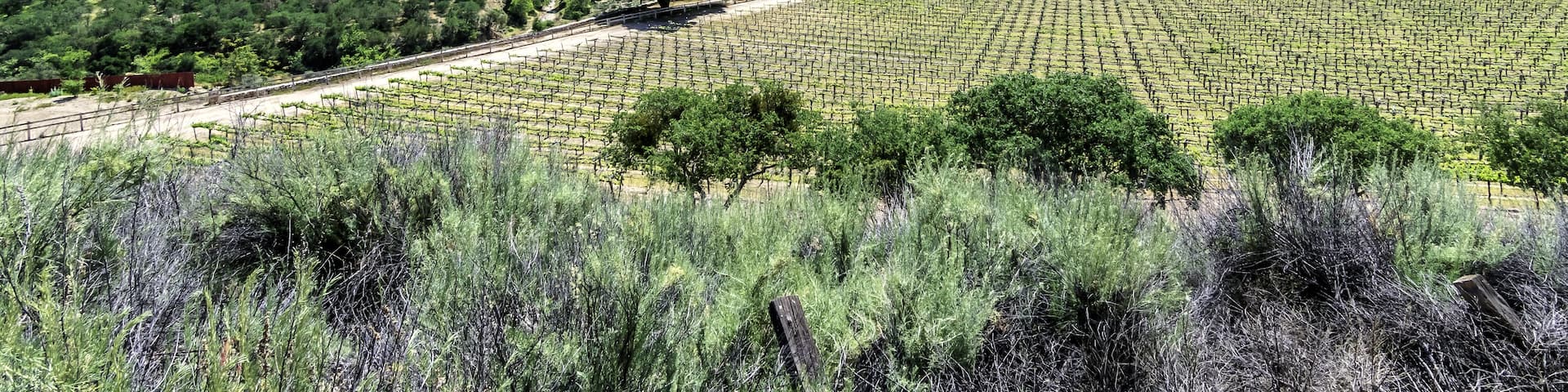 Winery along Monterey County road highway G16, near Carmel Valley, on the California Central Coast.; Shutterstock ID 268350932; Purchase Order: -