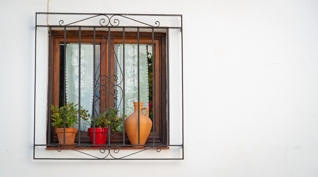 Albaicín showing a house