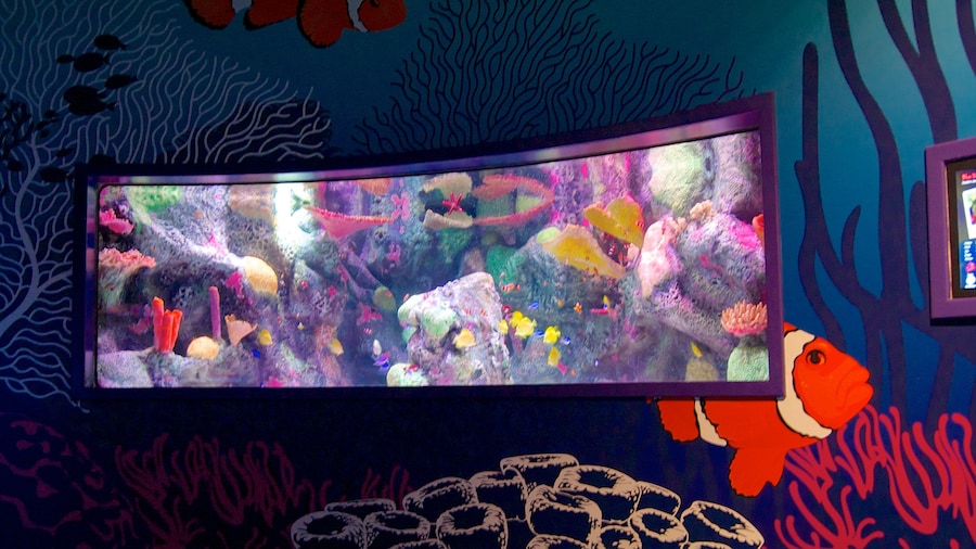 Sea Life Aquarium montrant vie marine et vues intérieures