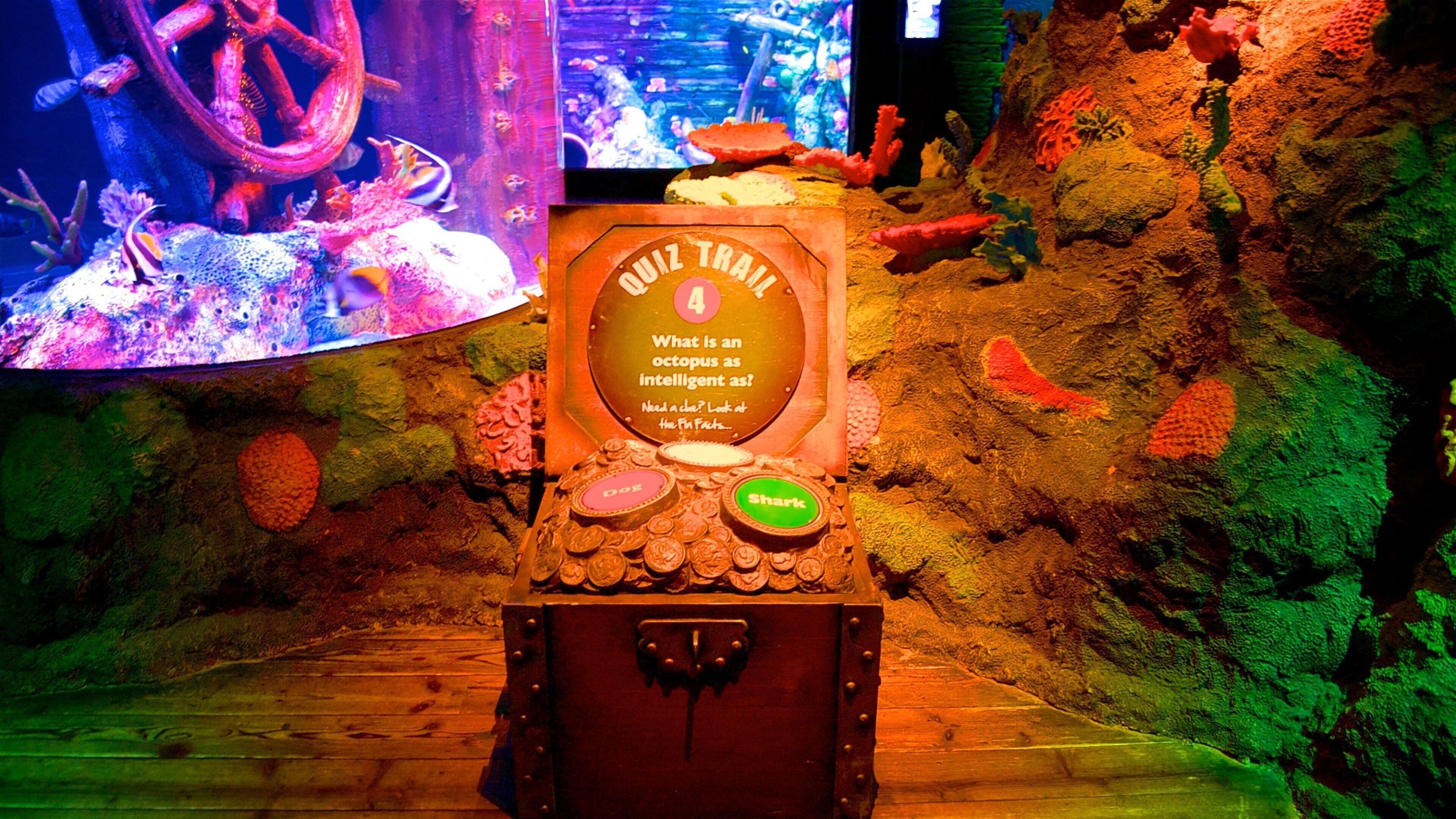 シー ライフ水族館 どの含み 海洋生物 と 屋内の眺め