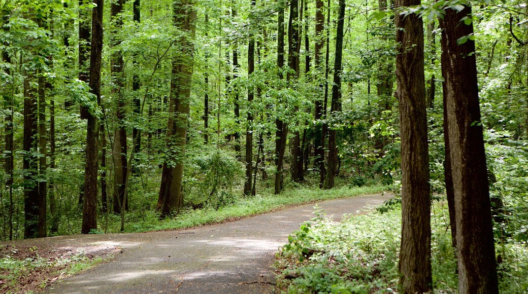 Maryland Quiet Waters Park mettant en vedette jardin