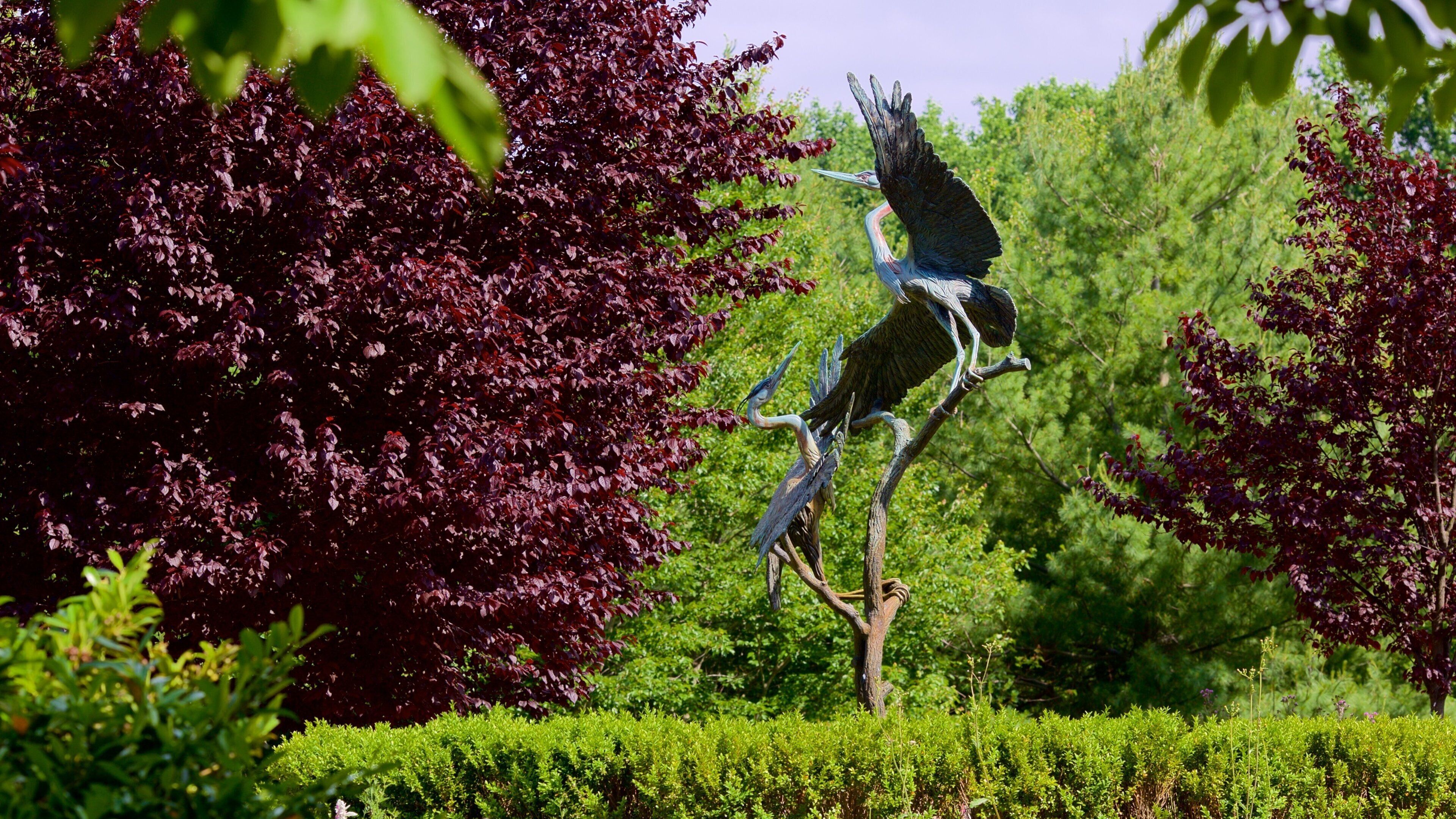 Maryland Quiet Waters Park som visar en trädgård och fåglar