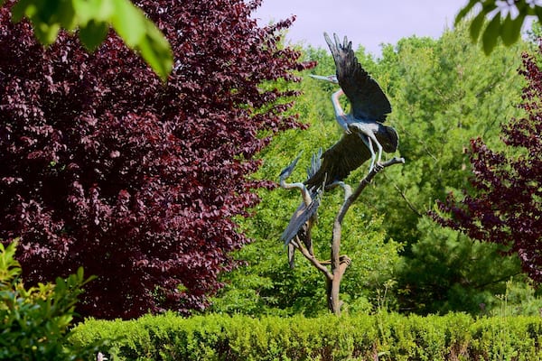 Maryland Quiet Waters Park showing a park and bird life