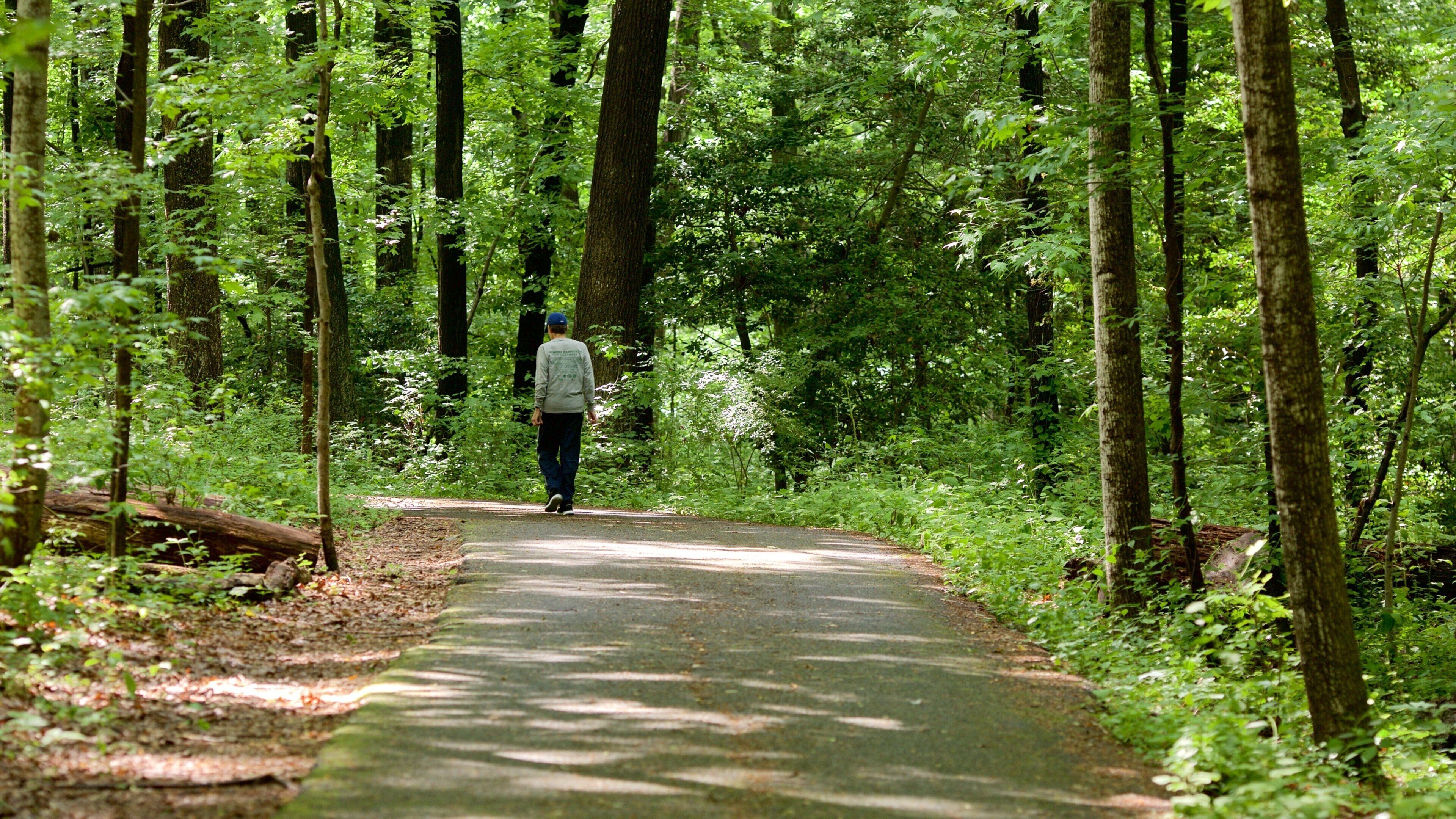 Maryland Quiet Waters Park mettant en vedette parc aussi bien que homme