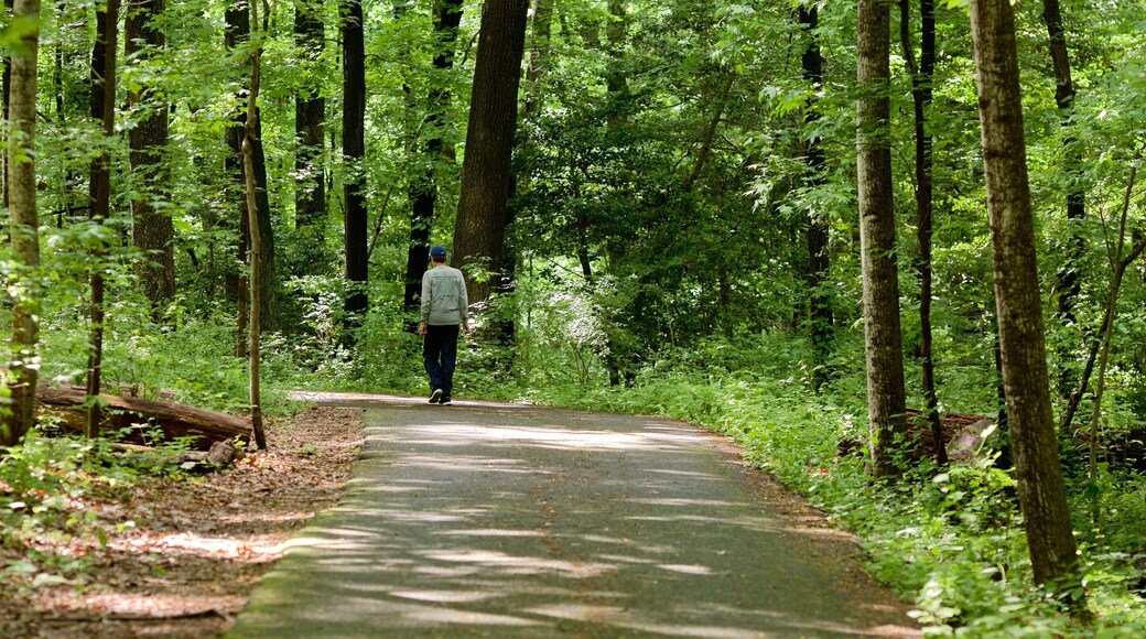 Maryland Quiet Waters Park mettant en vedette parc aussi bien que homme