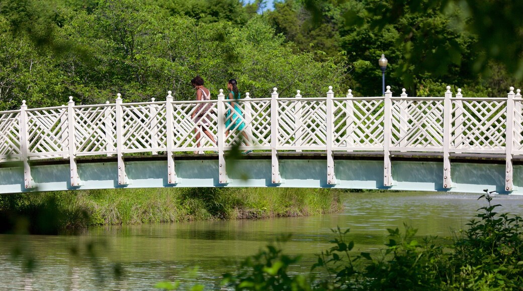 Maryland Quiet Waters Park som inkluderar en park såväl som en liten grupp av människor
