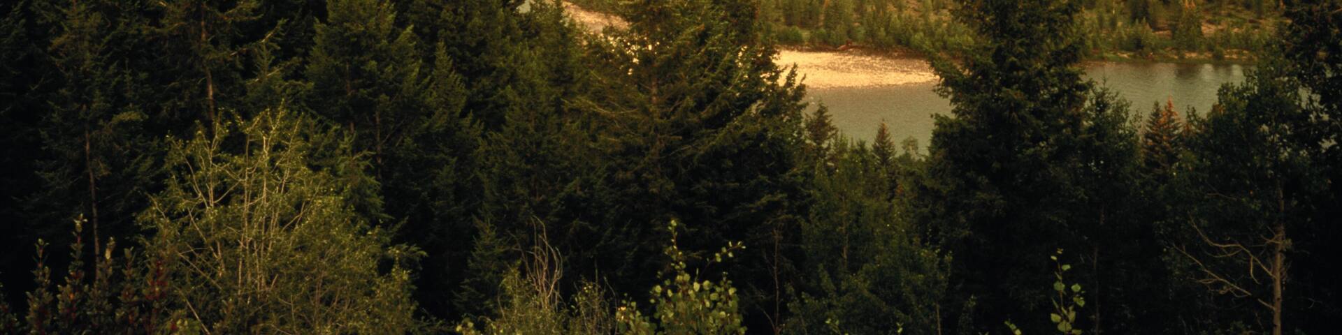 Grand Tetons and the Snake River