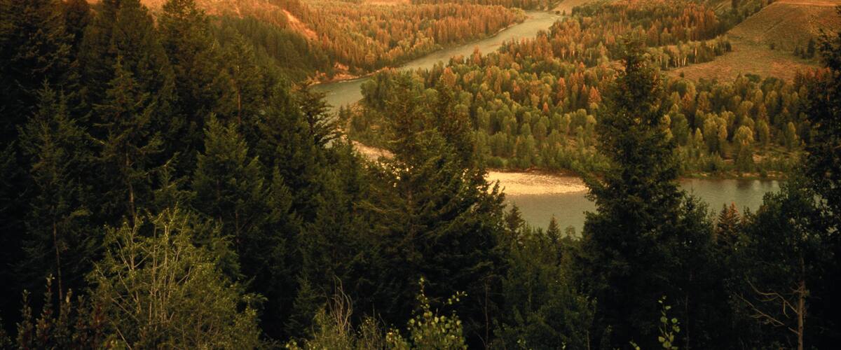 A mountainous landscape with a river, dense forests, and a lake.