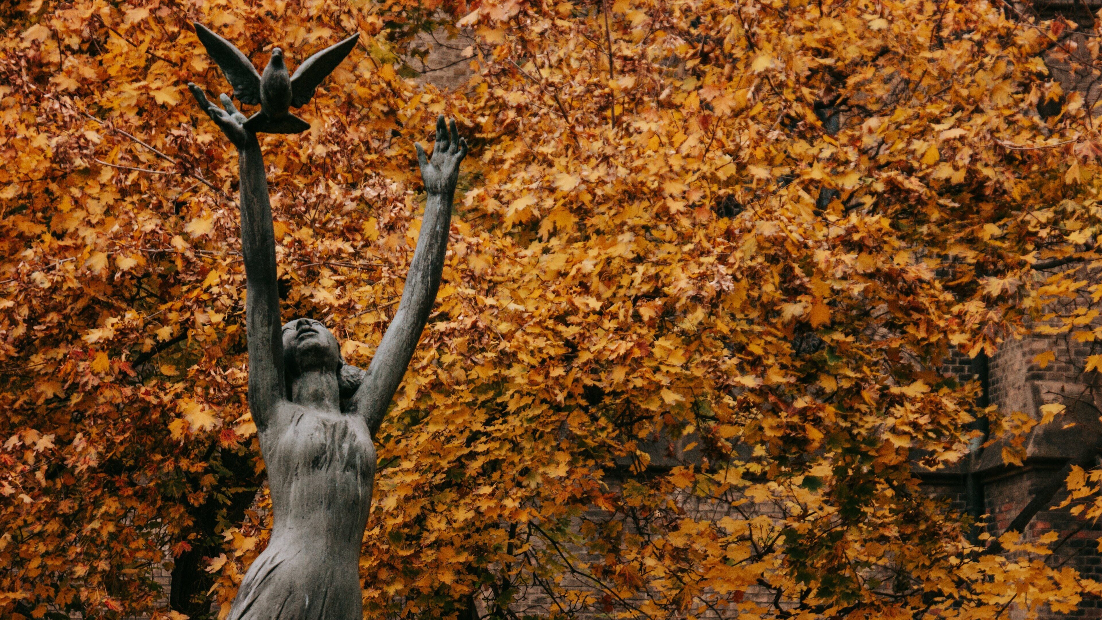 Peace Square showing autumn leaves and a statue or sculpture
