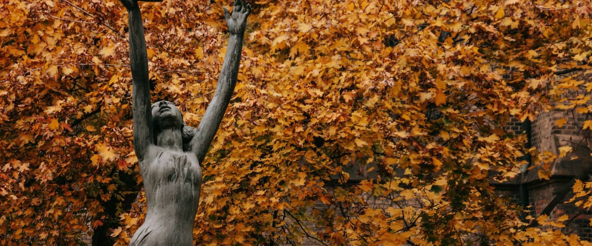 Peace Square showing autumn leaves and a statue or sculpture