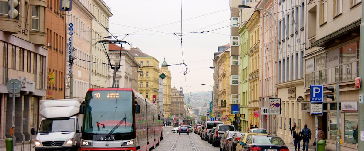 ํํ ๊ด์ฅ ์ด ํฌํจ ๋ฌธํ์ ์ฐ ์์