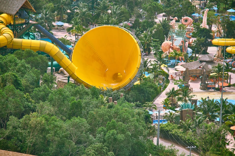 A large yellow water slide, palm trees, and a tropical resort area.