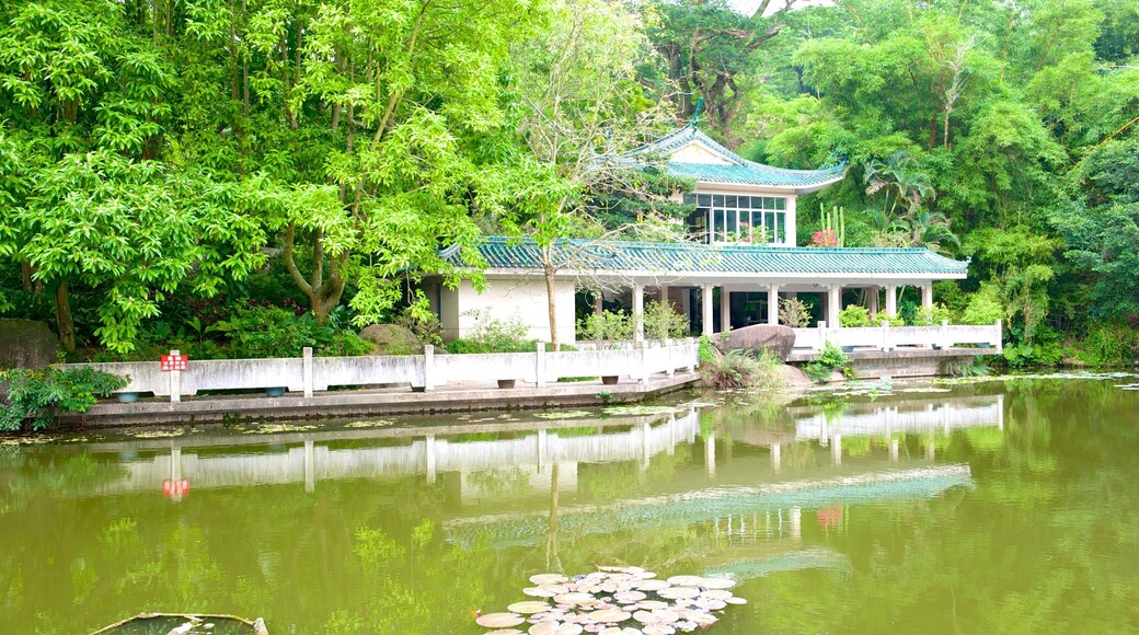 Jardim Botùnico de Wanshi mostrando um lago, arquitetura de patrimÎnio e um templo ou local de adoração