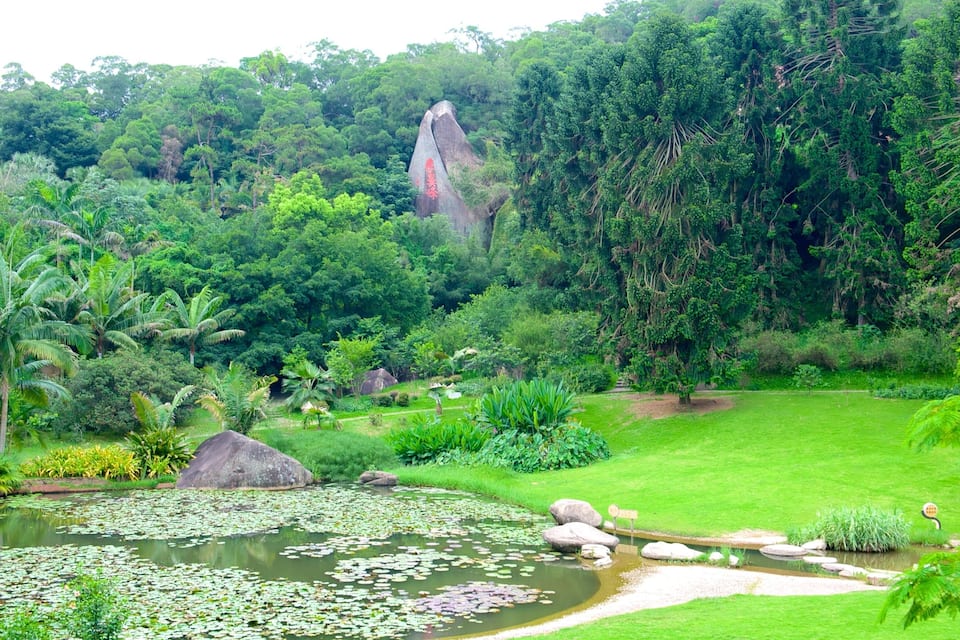 Um jardim exuberante com um lago, pedras e uma floresta densa ao fundo.