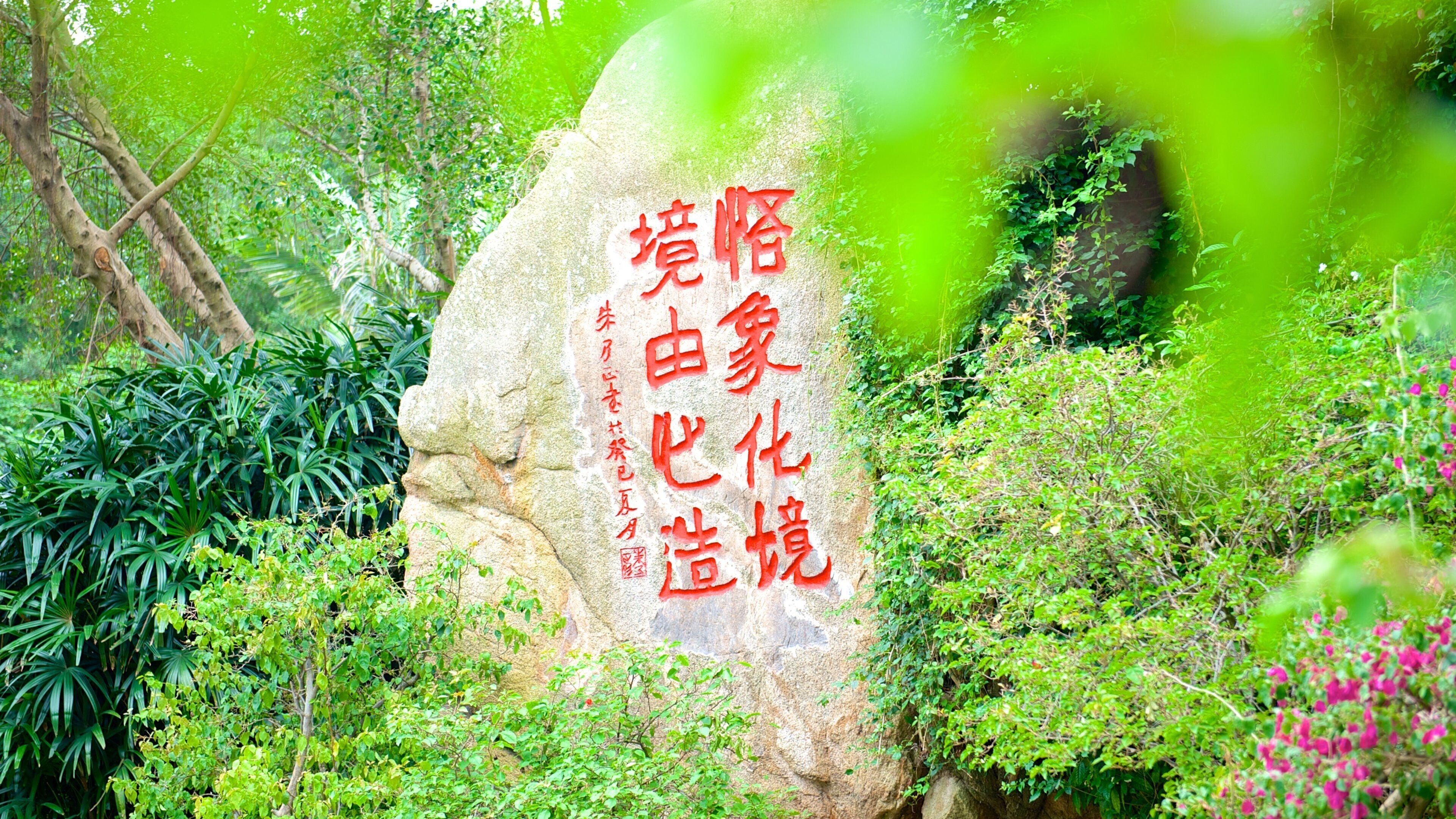 Wanshi Botanical Garden showing a garden, flowers and wildflowers