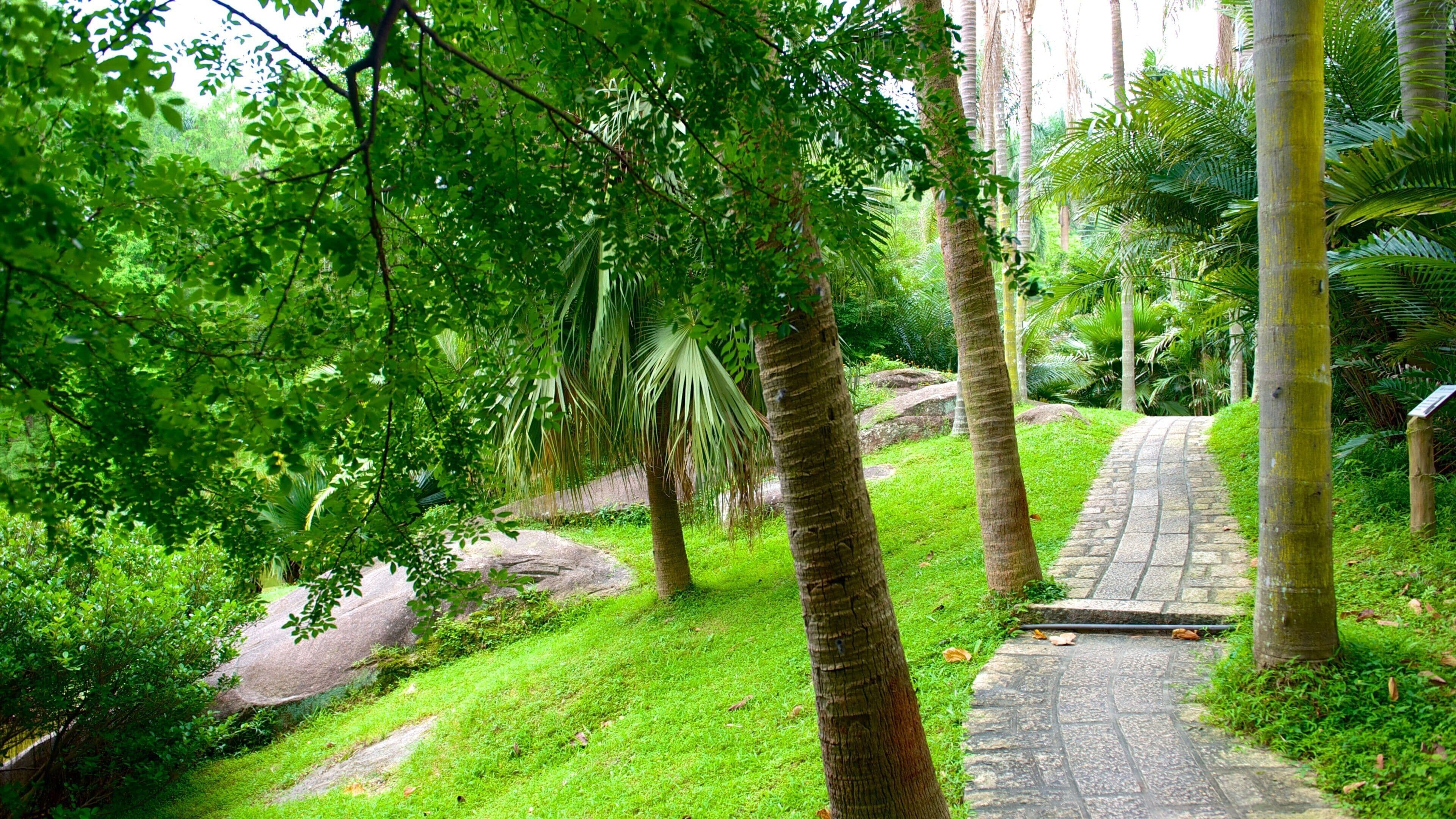 Jardim Botânico de Wanshi que inclui um jardim