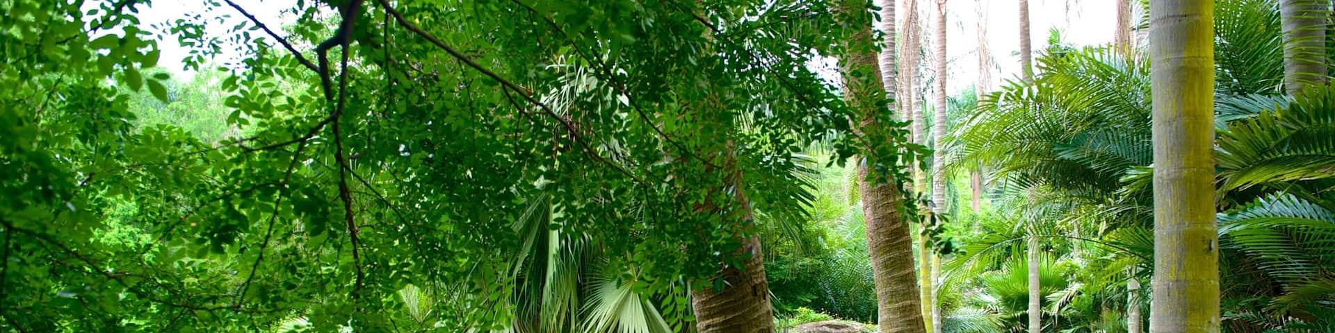Wanshi Botanical Garden showing a garden