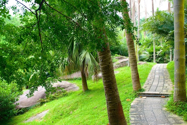 Wanshi Botanical Garden showing a park