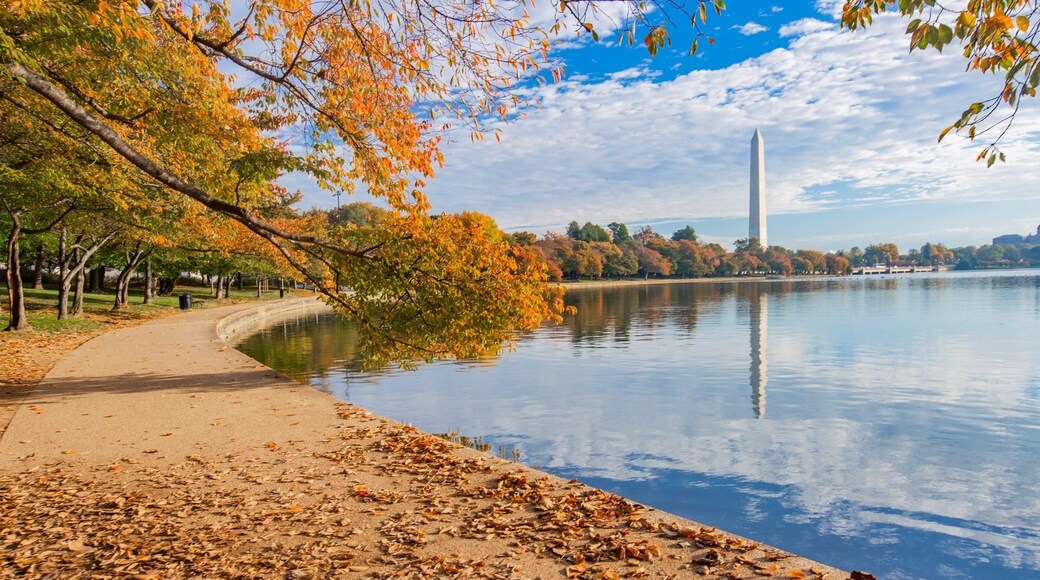 Tidal Basin showing fall colors and a lake or waterhole