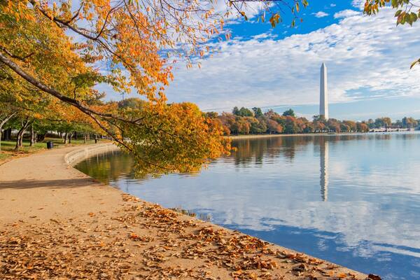 Tidal Basin showing fall colors and a lake or waterhole