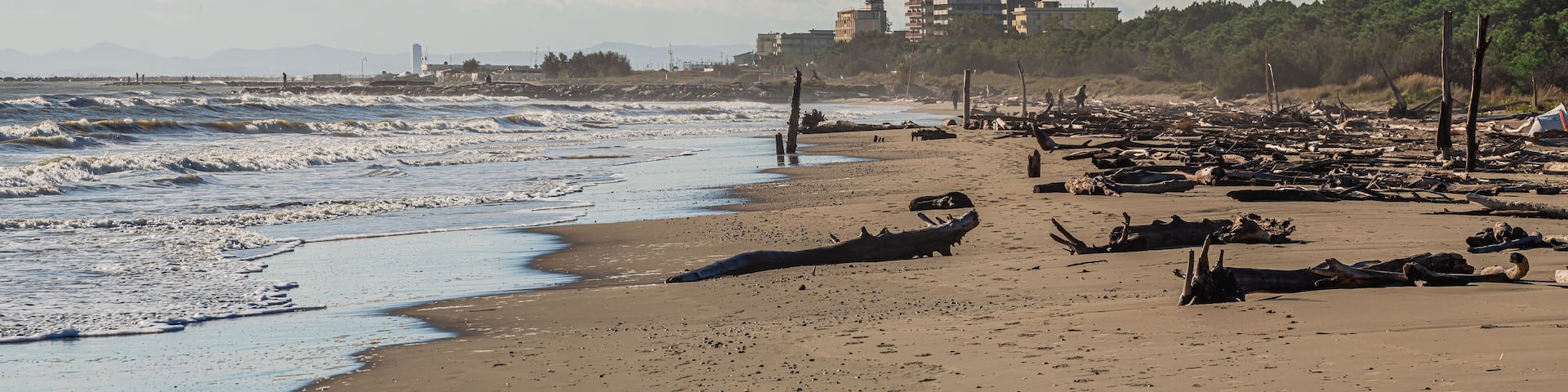 Na zdjęciu widzimy fragment dzikiej plaży w malutkim nadmorskim miasteczku Lido di Classe położonym w środkowych Włoszech nad Adriatykiem.