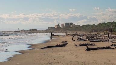 A beach with waves, driftwood, and buildings in the background.