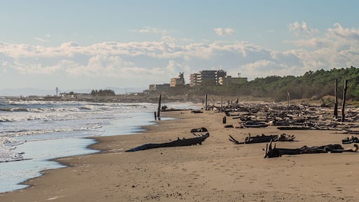 Na zdjęciu widzimy fragment dzikiej plaży w malutkim nadmorskim miasteczku Lido di Classe położonym w środkowych Włoszech nad Adriatykiem.