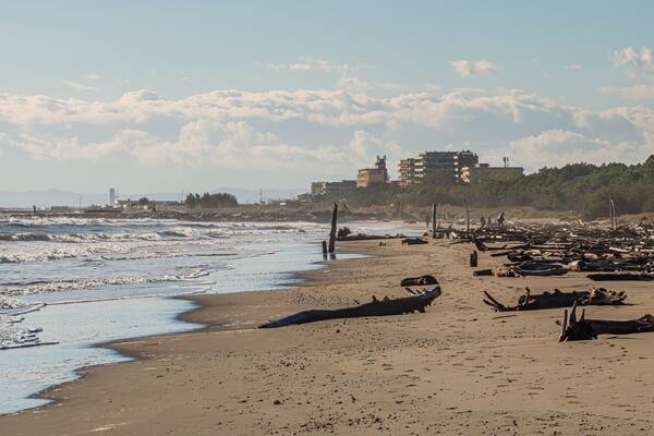 Na zdjęciu widzimy fragment dzikiej plaży w malutkim nadmorskim miasteczku Lido di Classe położonym w środkowych Włoszech nad Adriatykiem.