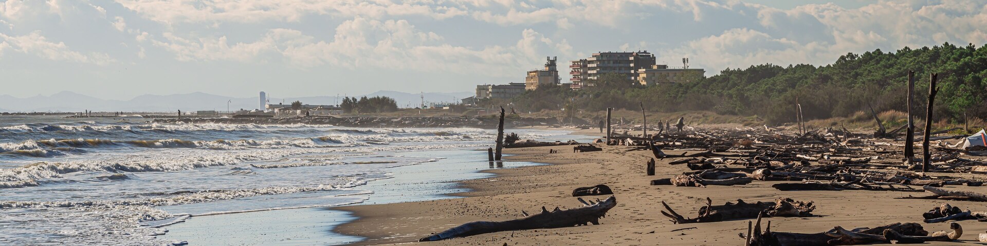 Na zdjęciu widzimy fragment dzikiej plaży w malutkim nadmorskim miasteczku Lido di Classe położonym w środkowych Włoszech nad Adriatykiem.
