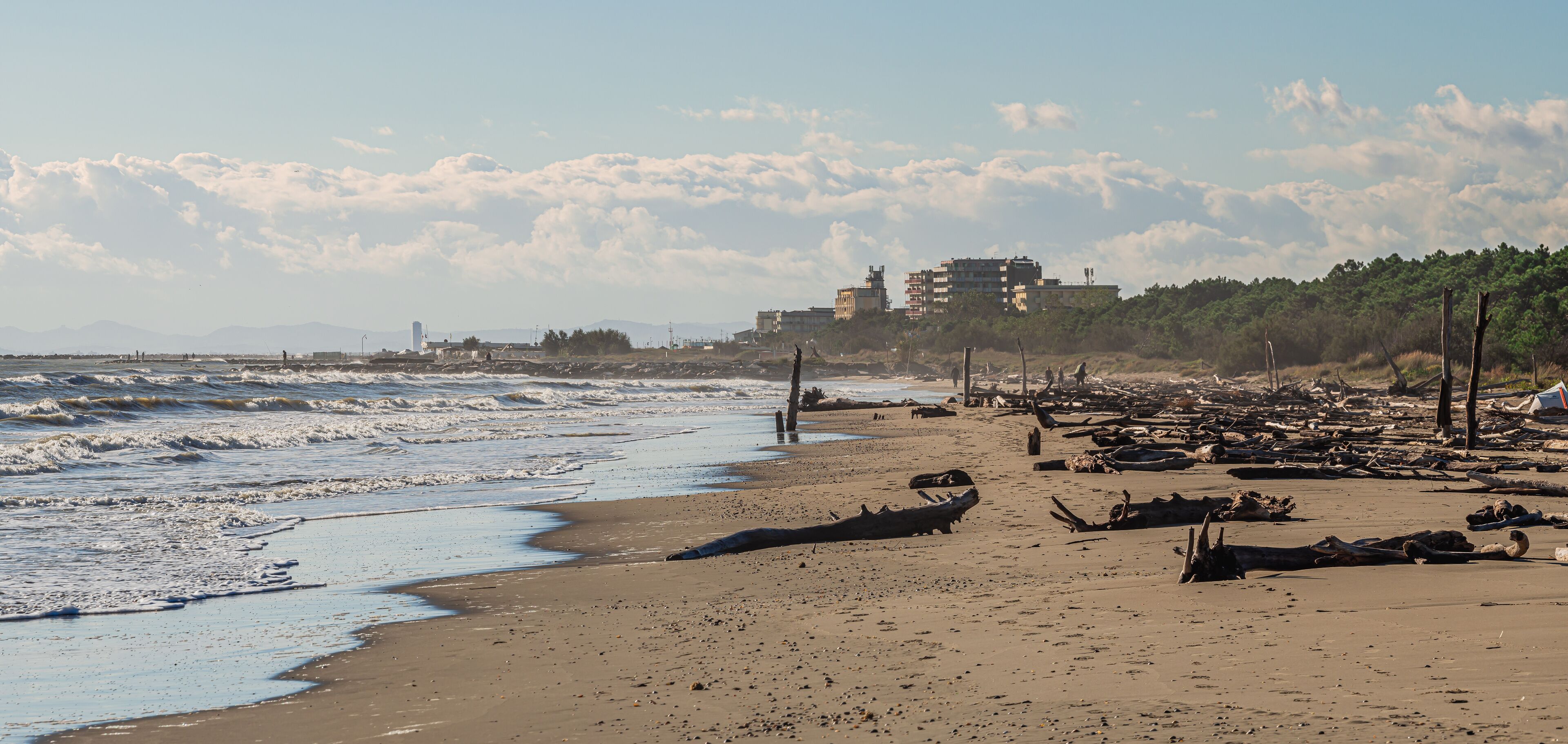 A beach with waves, driftwood, and buildings in the background.