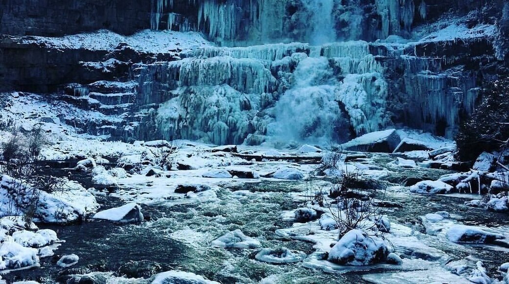 Chittenango falls. Have to climb over some fences in the winter time but it's worth it. #chittenangofalls #waterfalls #hiking #upstateny #waterlust #roadtrip
