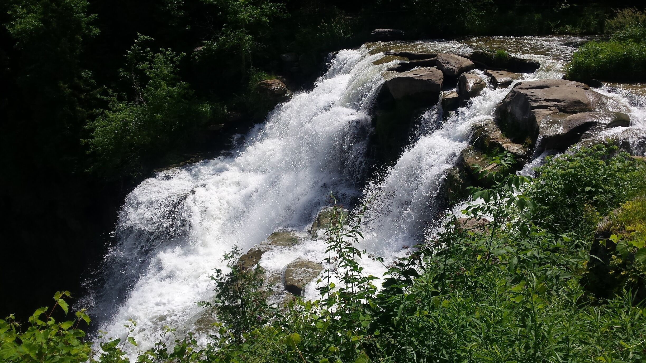 A waterfall cascading over rocks surrounded by lush greenery.