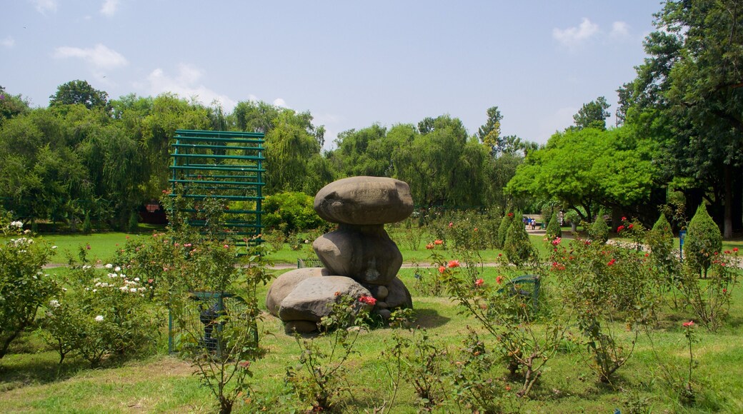 Zakir Rose Garden which includes a park