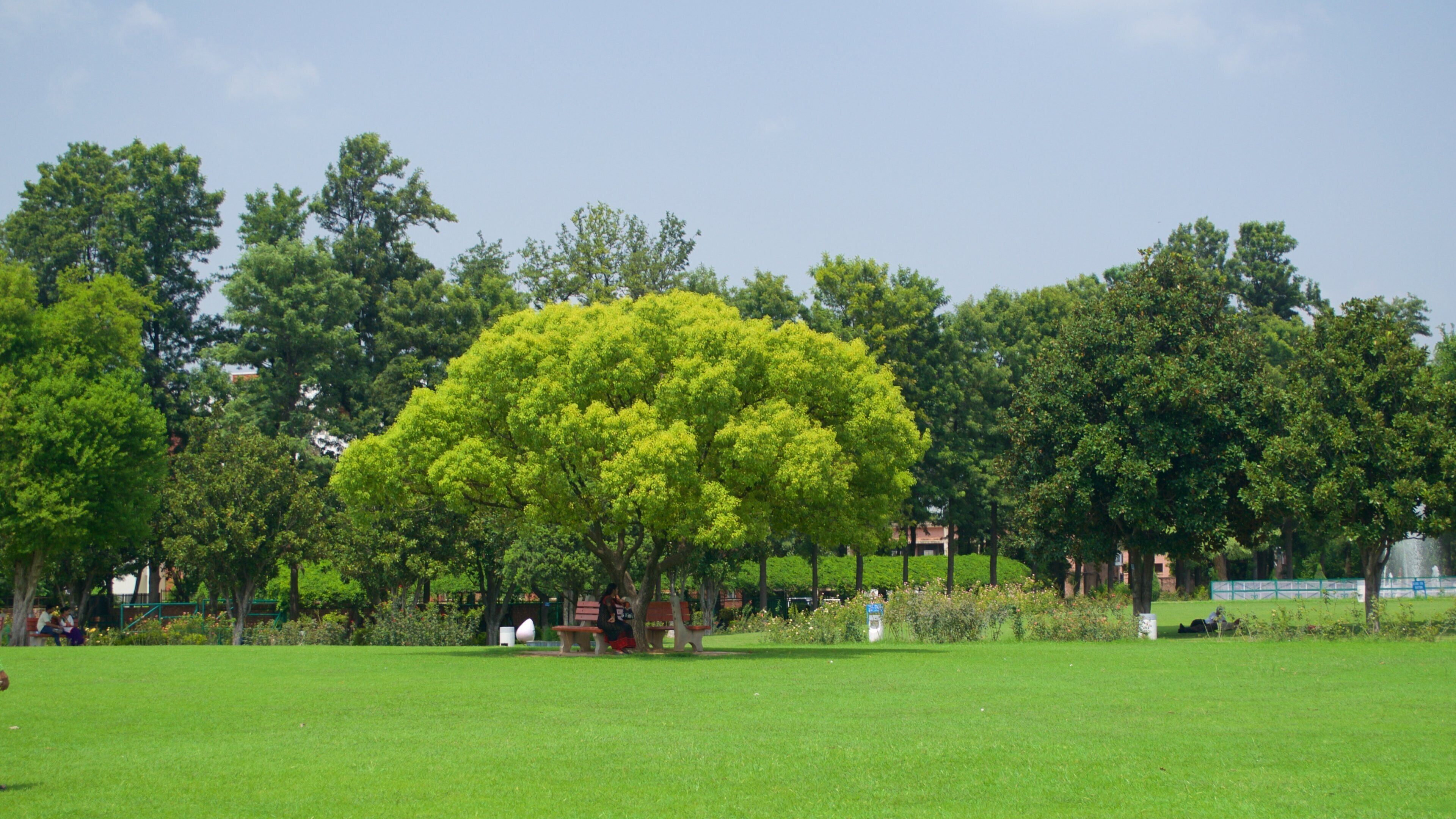 Zakir Rose Garden featuring a garden