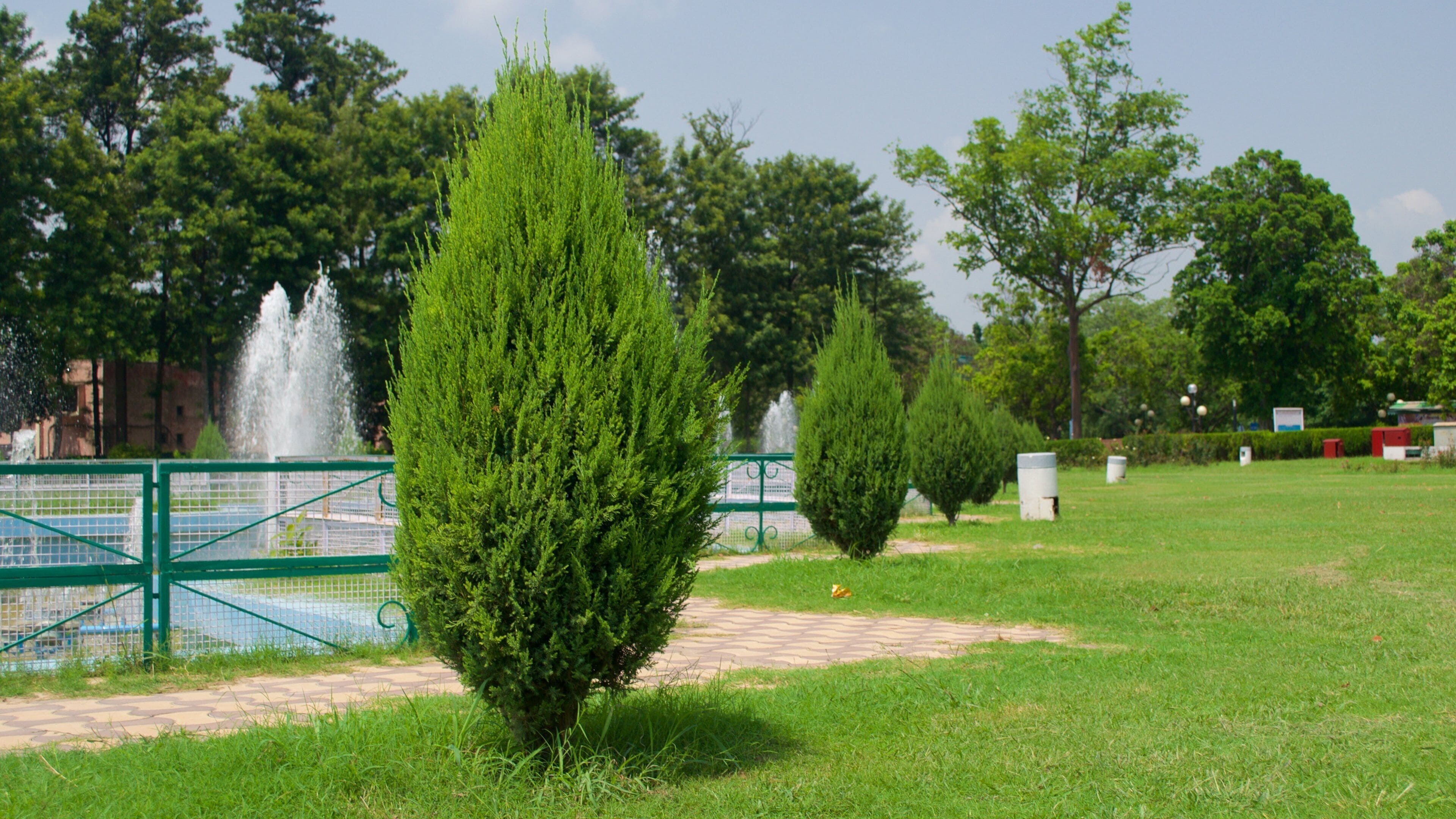 札基爾玫瑰園 呈现出 公園 和 噴泉