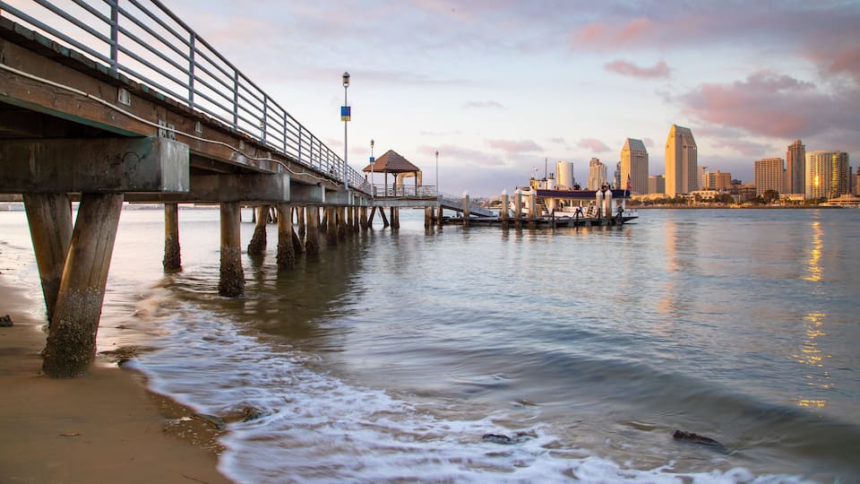 A pier extending into calm waters with a city skyline in the background.