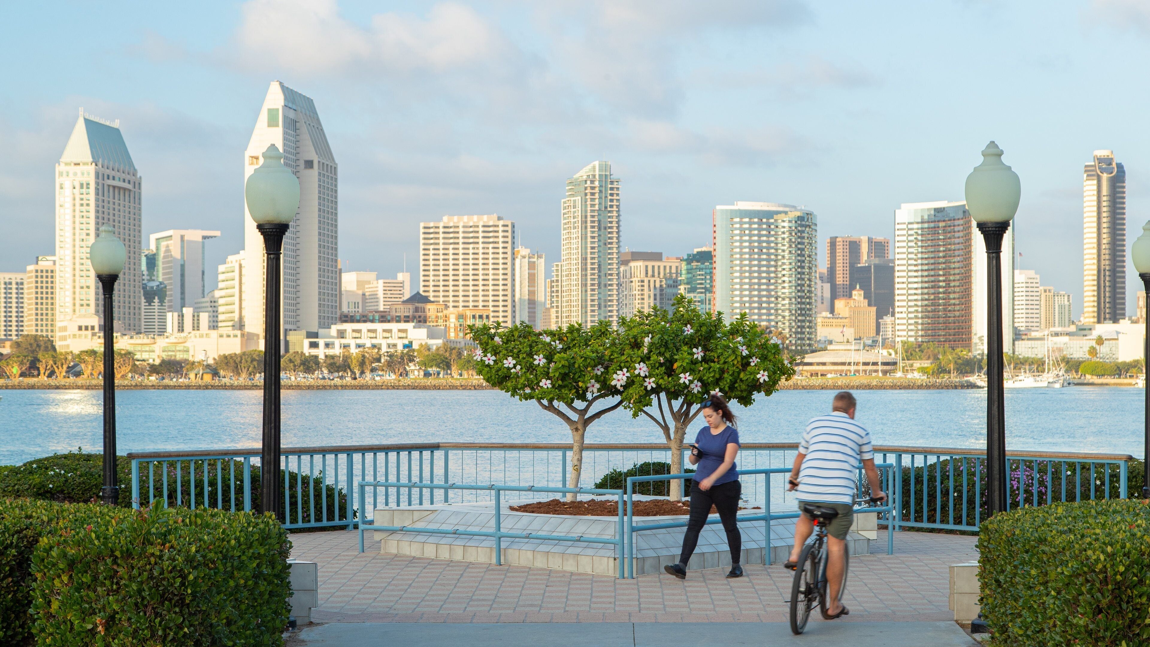 Coronado Ferry Landing which includes a river or creek and a city