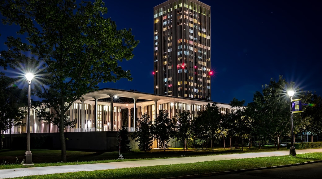 University at Albany SUNY