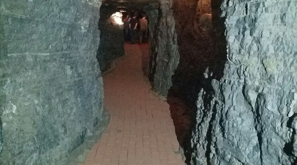 One of the tunnels