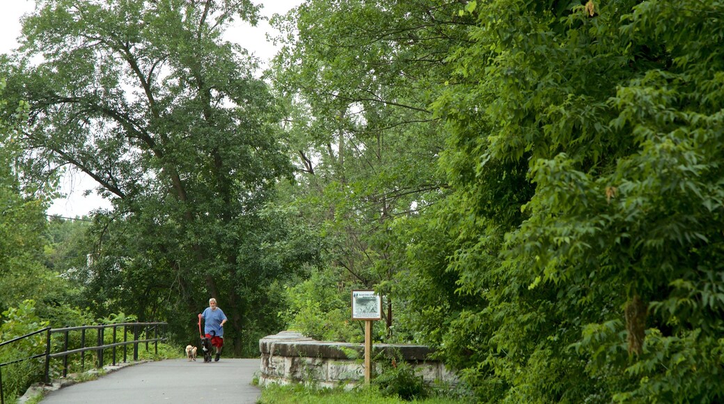 Old Erie Canal Historic State Park featuring a garden, hiking or walking and cuddly or friendly animals