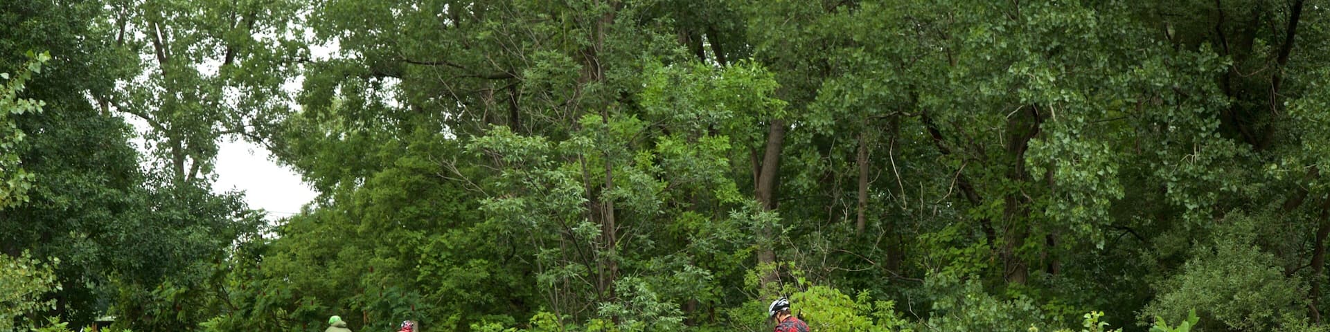 Parc d\'Ătat historique Old Erie Canal mettant en vedette pont et jardin aussi bien que petit groupe de personnes