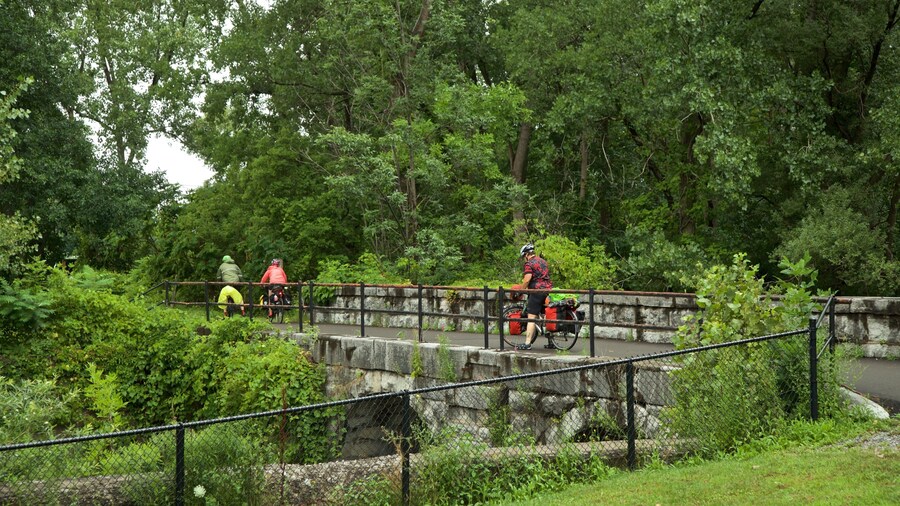 Old Erie Canal Historic State Park featuring a park and a bridge as well as a small group of people