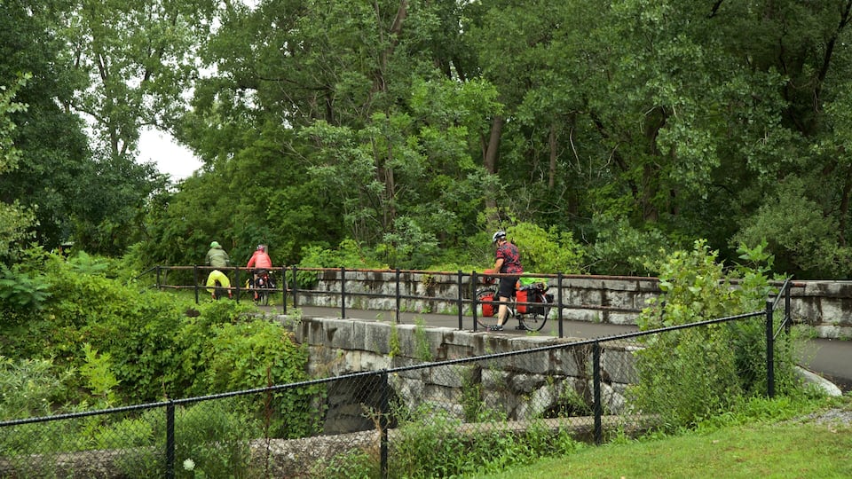 A stone bridge with cyclists in a forested area.