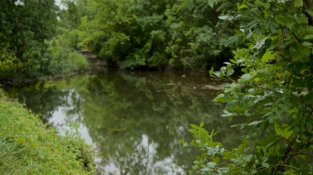 Parc d\'Ătat historique Old Erie Canal montrant mare