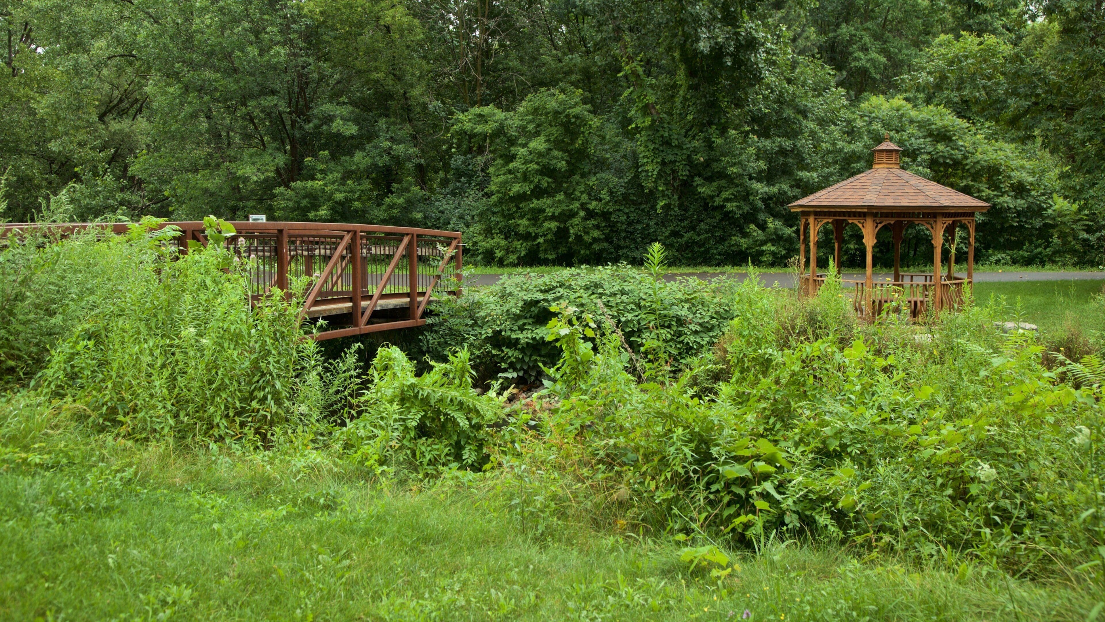 Parc d\'État historique Old Erie Canal qui includes pont et jardin