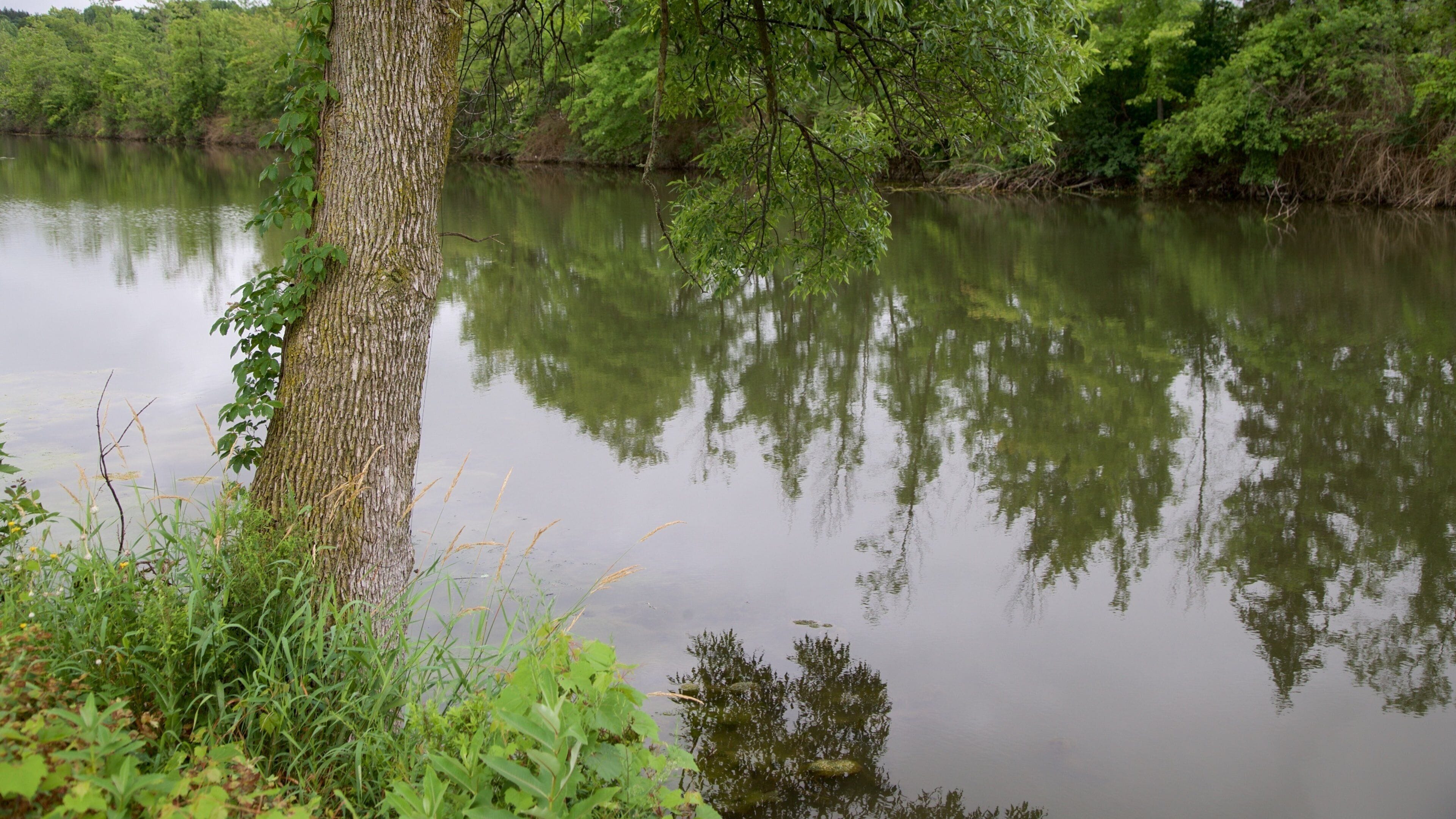 Parque estatal histórico de Old Erie Canal ofreciendo un estanque