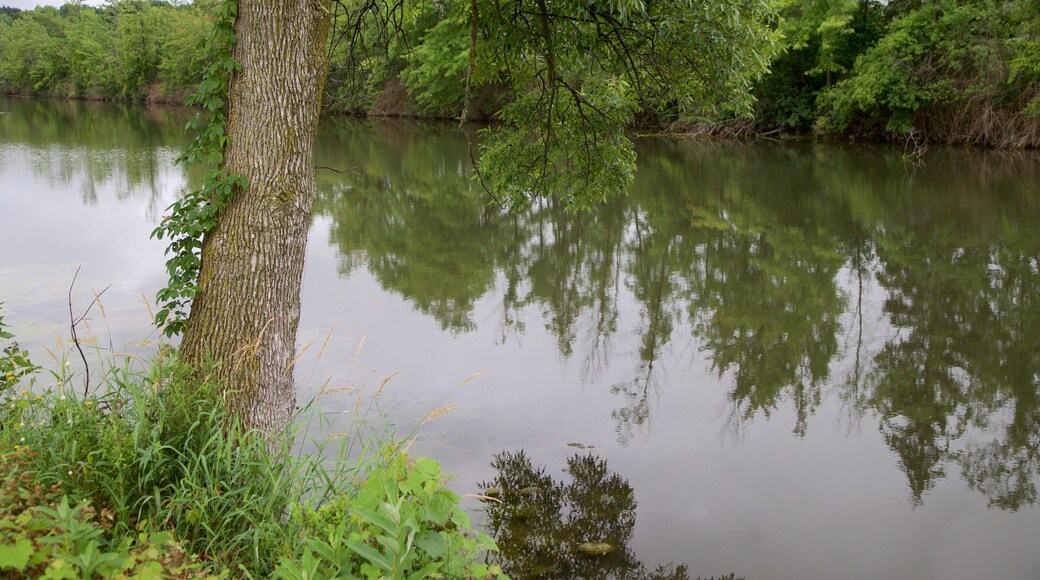 Old Erie Canal Historic State Park que inclui um lago