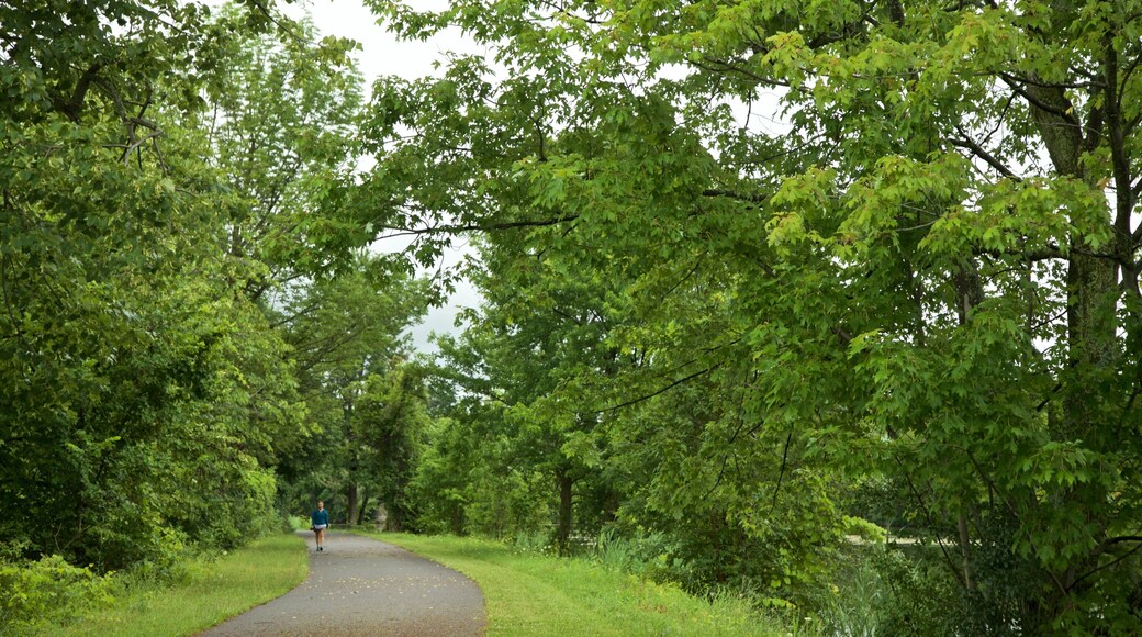 舊伊利運河史蹟州立公園 其中包括 花園